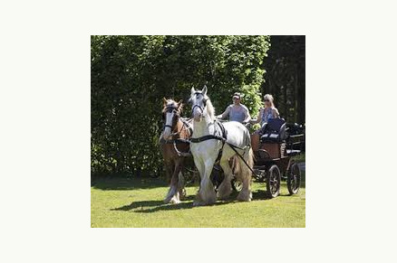 Trekkershutten Het Caitwickerzand op de Veluwe met paardenweide VMP022